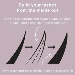 Neutrogena Healthy Volume Lash-Plumping Mascara, Volumizing and Conditioning Mascara with Olive Oil to Build Fuller Lashes, Clump-, Smudge- and Flake-Free, Brown/Black 03, 0.21 oz